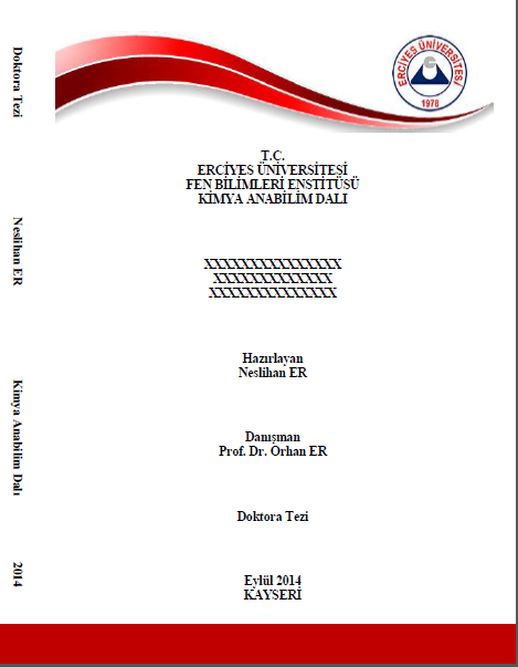 Tez-Mer Tez Yazımı Tez Dizgi